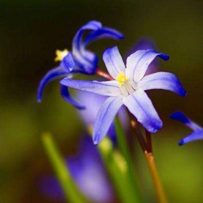 废车场极限摩托